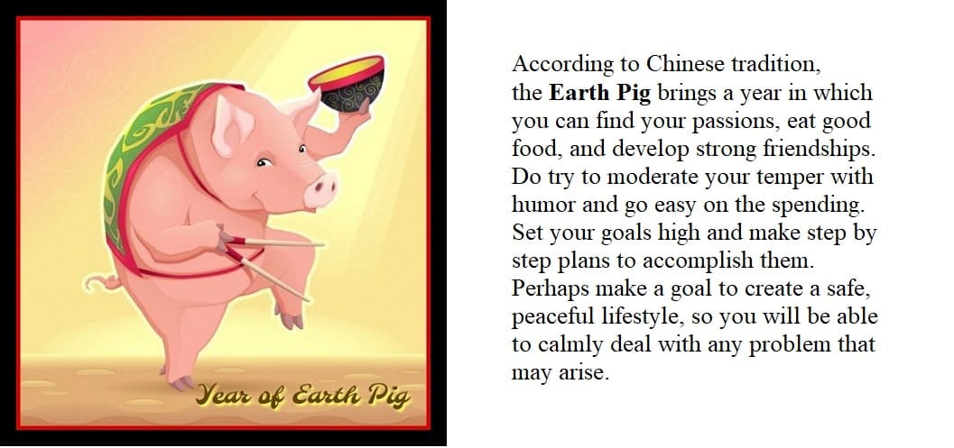 Trivia about the Earth Pig for the Chinese New Year of 2019