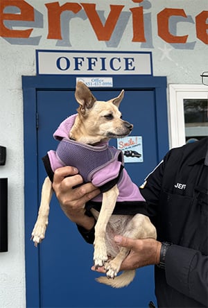 Bambi | Water Star Motors